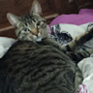 Meet your Posher, Madelyn